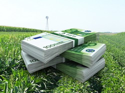 APIA a finalizat plata avansului pentru Plata Unica pe Suprafata (SAPS) catre 600.000 de fermieri