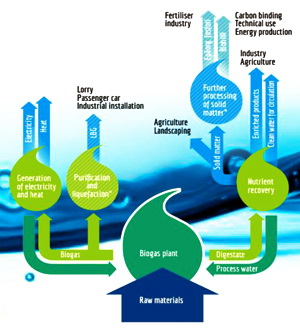 Bio-fermentare fluxuri