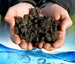 Economie circulara: Statiile de Bio-fermentare produc ingrasaminte organice si biogaz din gunoiul de grajd