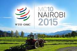 Comertul si exportul de produse agricole pe masa negocierilor la a 10-a conferinta ministeriala a OMC