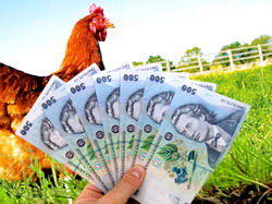 Credite agricole: APIA elibereaza adeverinte pentru beneficiarii platilor pentru bunastarea pasarilor