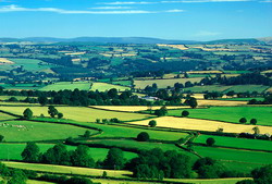 Dezvoltarea integrata a mediului rural