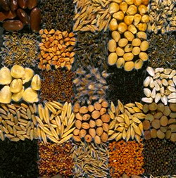 Asigurarea drepturilor traditionale ale fermierilor de a ameliora plantele