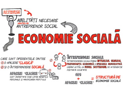 Structurile de economie sociala – un mediu umanizat al afacerilor
