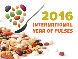 De la fasole pana la mazare: Natiunile Unite lanseaza „2016 – Anul International al Leguminoaselor”