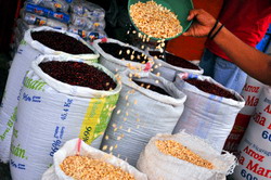 FAO - Anul International al Leguminoaselor