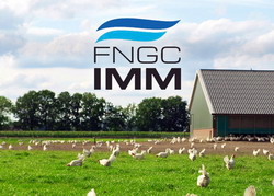 Garantiile FNGCIMM faciliteaza accesul la finantare pentru beneficiarii APIA