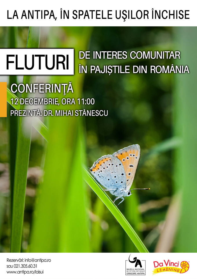 Fluturi de interes comunitar in pajistile romanesti - Antipa