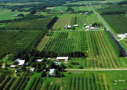 Variantele consultative ale Ghidurilor Solicitantului aferente submasurilor 4.2 si 4.2a – schemele GBER si de minimis