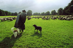 Federatiile si asociatiile solicita indreptarea Legii Vanatorii