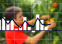 Veniturile in agricultura din Romania 2015