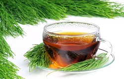 Coada calului ajuta inima sa functioneze normal