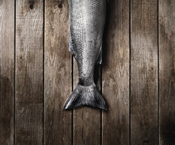 Lansarea masurii de sprijin pregatitor PU4 din cadrul Programului POPAM