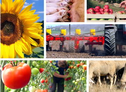 primirea proiectelor prin PNDR se apropie de final