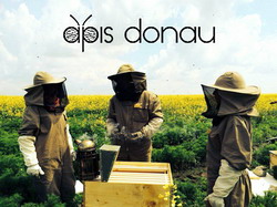 Apis Donau – un ajutor pentru orice apicultor