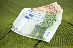 Modificare criterii de eligibilitate Plati APIA