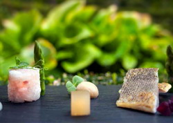 Idee de afacere inedita: Productia combinata de pesti si tomate