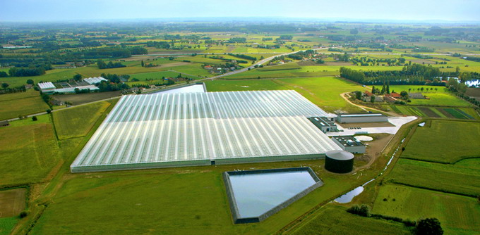 Productie combinata sere de tomate si bazine piscicole