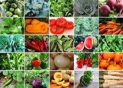 Seminte de legume pentru infiintarea culturilor de primavara 2016