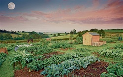 alottments-night 2107357b