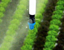 Noi oportunitati de cooperare in domeniul agriculturii cu statul Israel