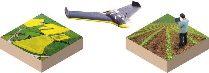 Drone folosite in agricultura - culturi de rapita si cereale