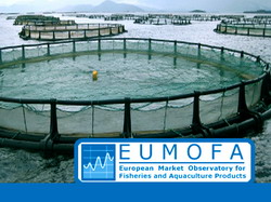 EUMOFA: Informatiile privind piata produselor piscicole si de acvacultura sunt disponibile acum si in limba romana
