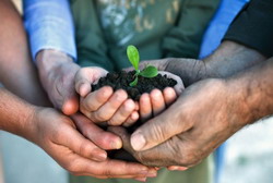 Fondul Mutual va fi realizat cu ajutorul expertilor din Franta