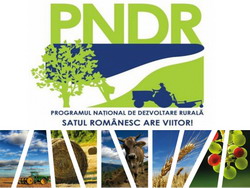 Noi prevederi pentru eficientizarea procesului de selectie a proiectelor de investitii