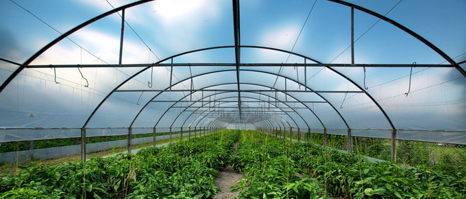 Oferta de folie pentru solarii de la Romcarbon