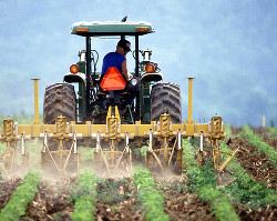 Plati fonduri europene tineri fermieri - PNDR 2020