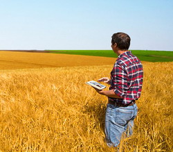 Sistemul ERP, secretul cresterii productiei in agricultura