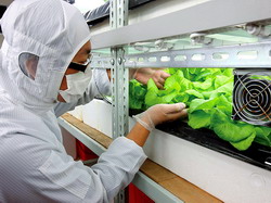 Sisteme si tehnologii agricole moderne - China-Romania