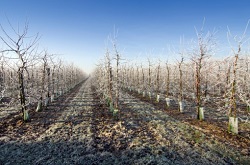 Calendarul lucrarilor agricole de camp in luna februarie