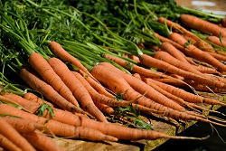 Cultura ecologica a morcovului