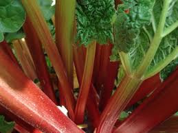 Cultura perena de revent