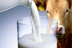 Ajutorul exceptional destinat fermierilor din sectorul laptelui si produselor lactate