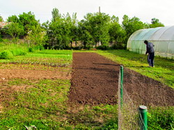 Clarificari privind noua impozitare a terenurilor agricole din intravilan