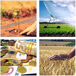 Gestiunea riscurilor in agricultura, un pas inainte in sustenabilitatea economica a exploatatiilor agricole