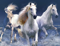 Congres AVER 2016 ecvine