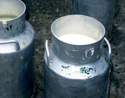 Inspectorii ANSVSA controleaza laptele si produsele din lapte