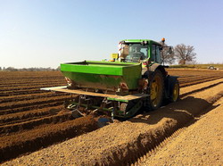 Cultivarea cartofilor - masina de plantat cartofi