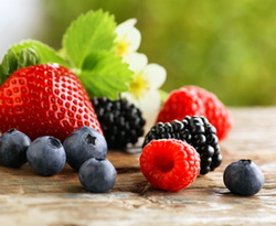 Procesarea fructelor de padure cu ajutorul energiei regenerabile – Model de afacere in zona montana