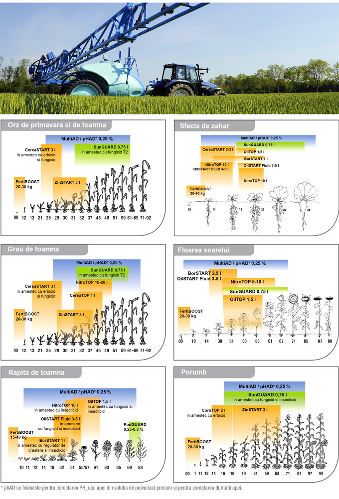 Program complet de fertilizare la culturile de orz grau rapita sfecla-de-zahar floarea-soarelui porumb
