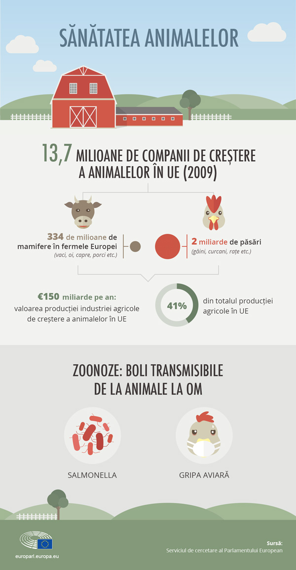 Sanatatea animalelor - infografic