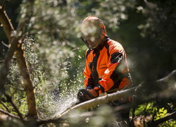 Utilizare motofierastrau profesional