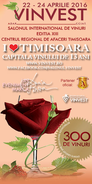 VINVEST Timisoara 2016