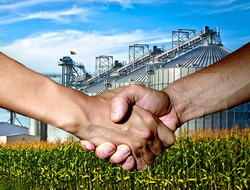 Cat de sigure si previzibile juridic sunt contractele GAFTA pentru industria agri?