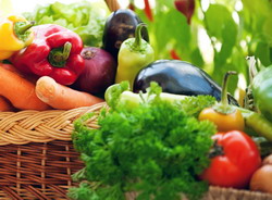 Oferta de seminte de legume pentru agricultura ecologica 2016 – SCDL Buzau