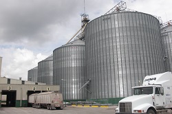 Depozitarea produselor vegetale